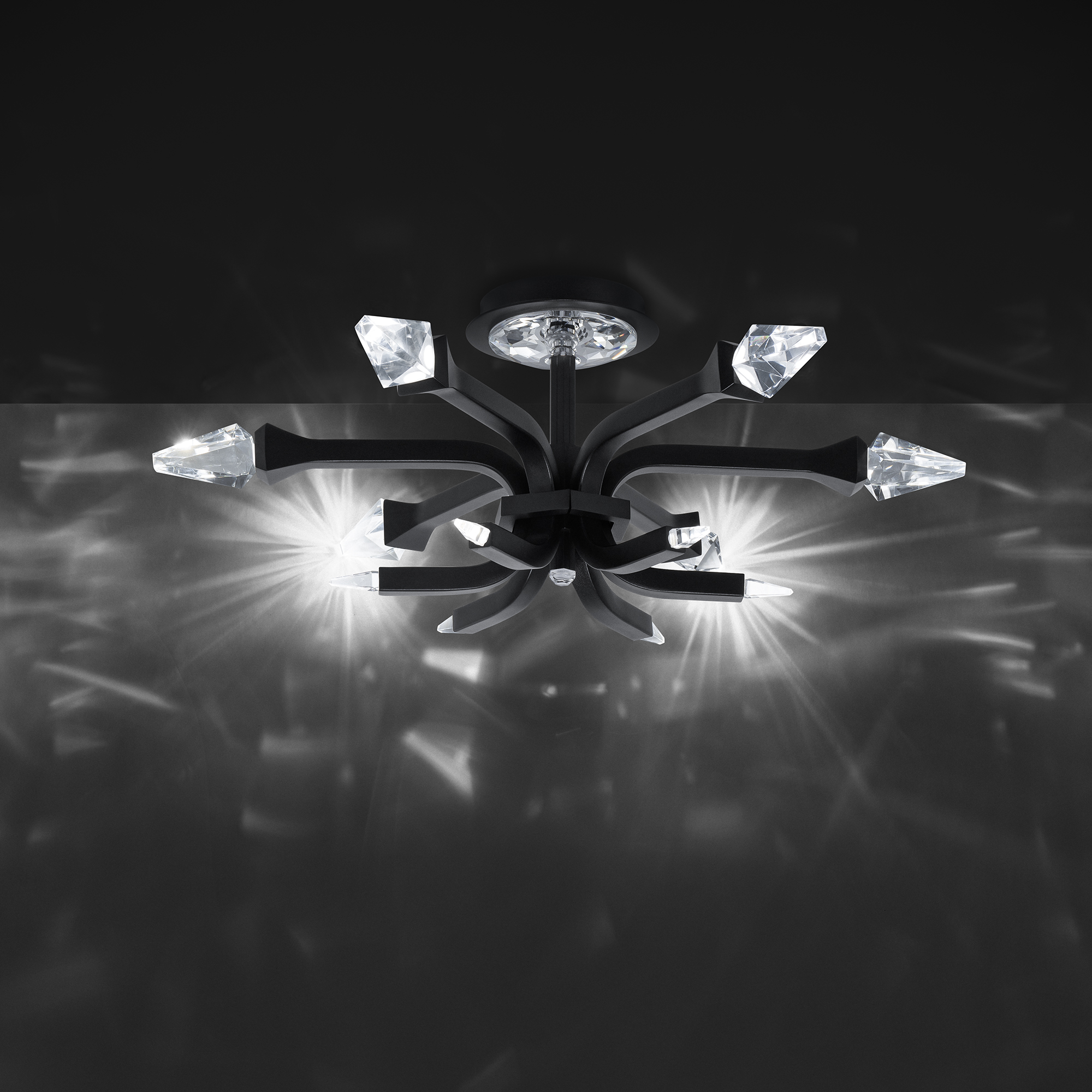 Schonbek Beyond Crystal Plumeria Flush Mount BFM25524-BK_IMRO_6