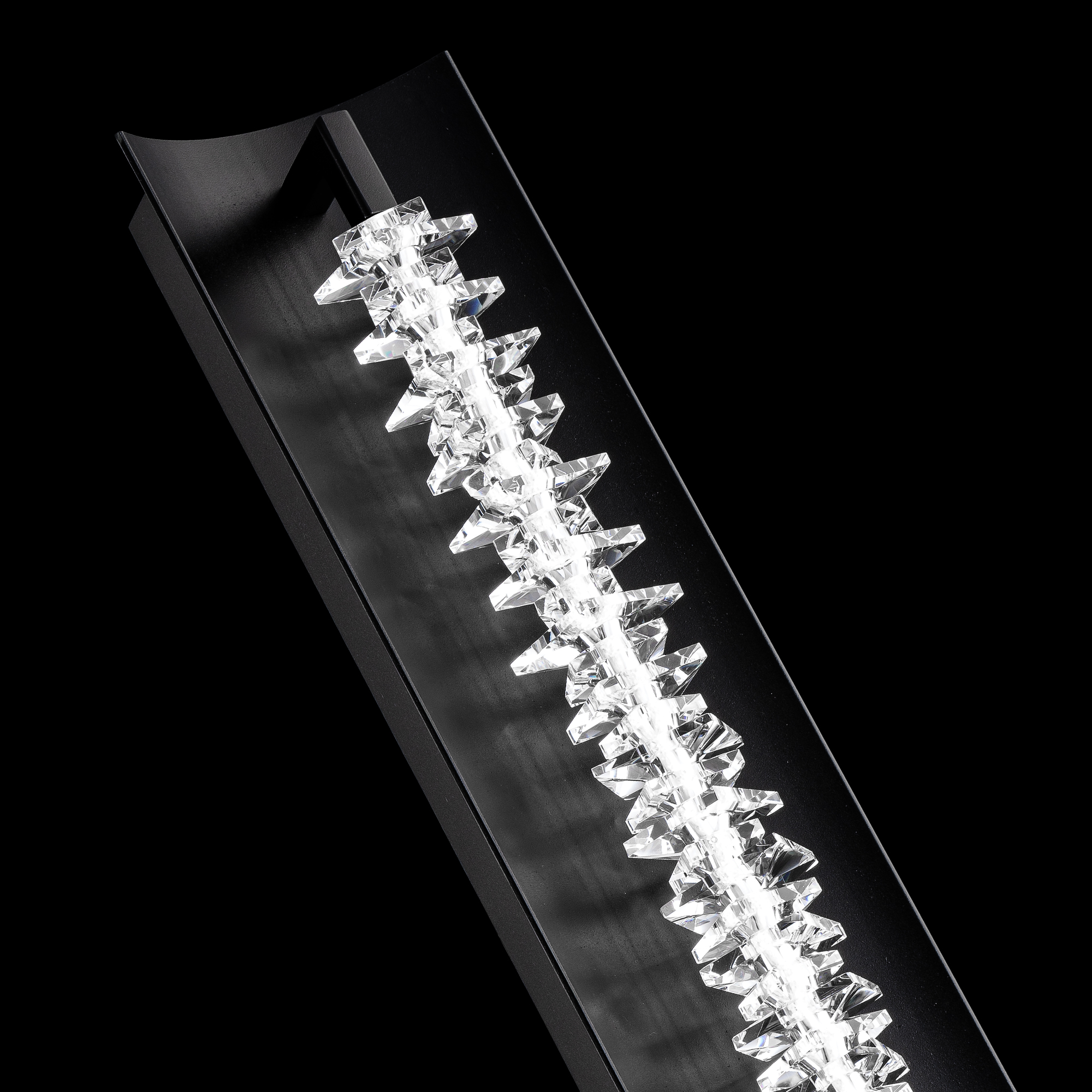 Schonbek Beyond Crystal Bergy Bath Vanity & Wall Light BWS21524-BK_IMRO_5