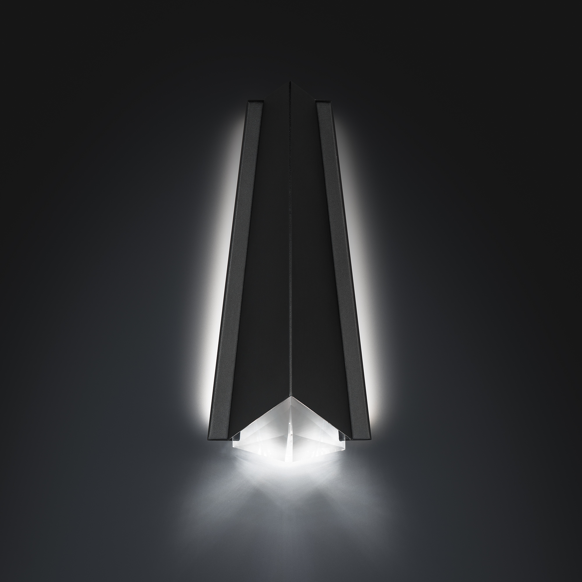 Schonbek Beyond Crystal Lanie Outdoor Wall Light BWSW52516-BK_IMRO_2