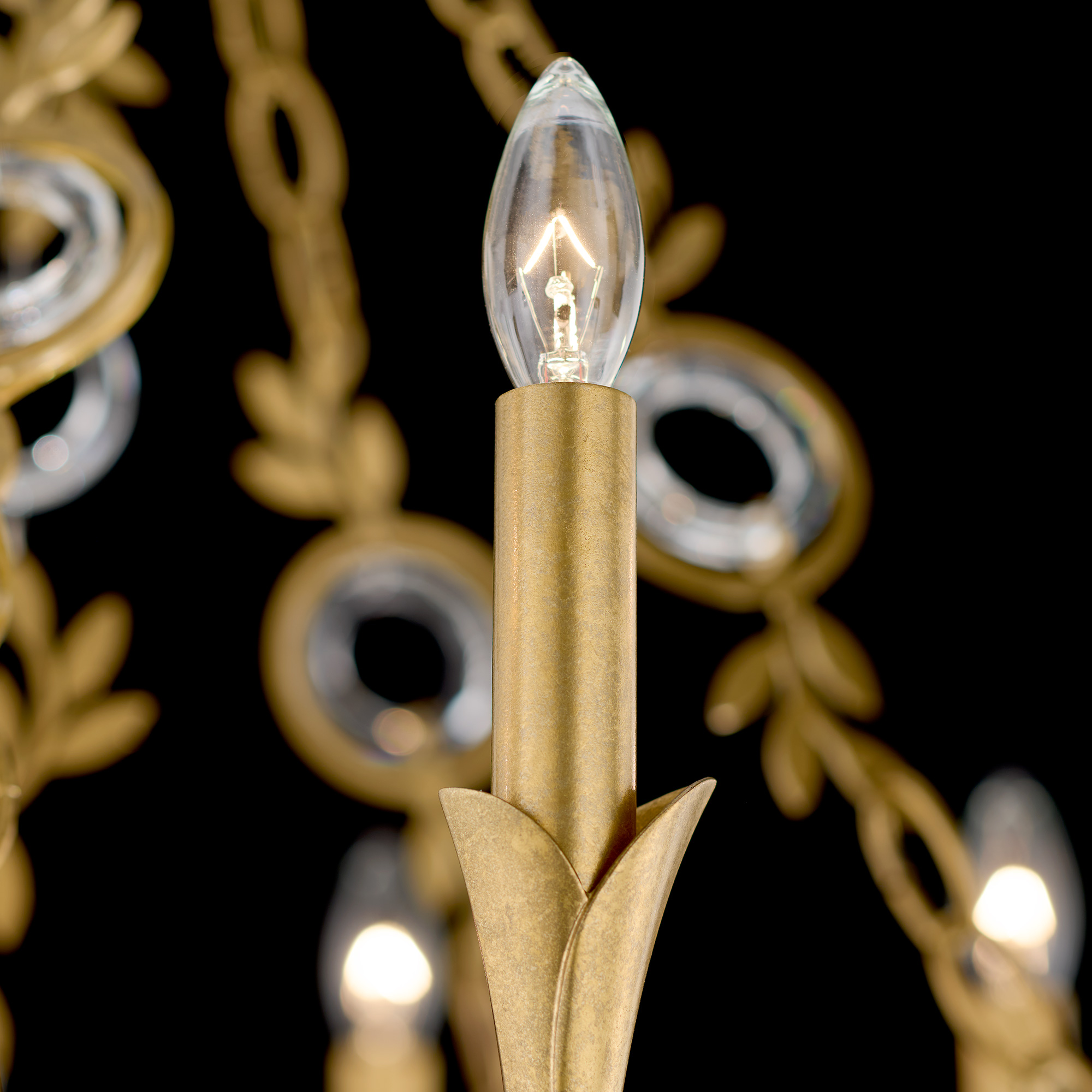 Schonbek Signature Crystal Concetta Chandelier S24510-22R_IMRO_4